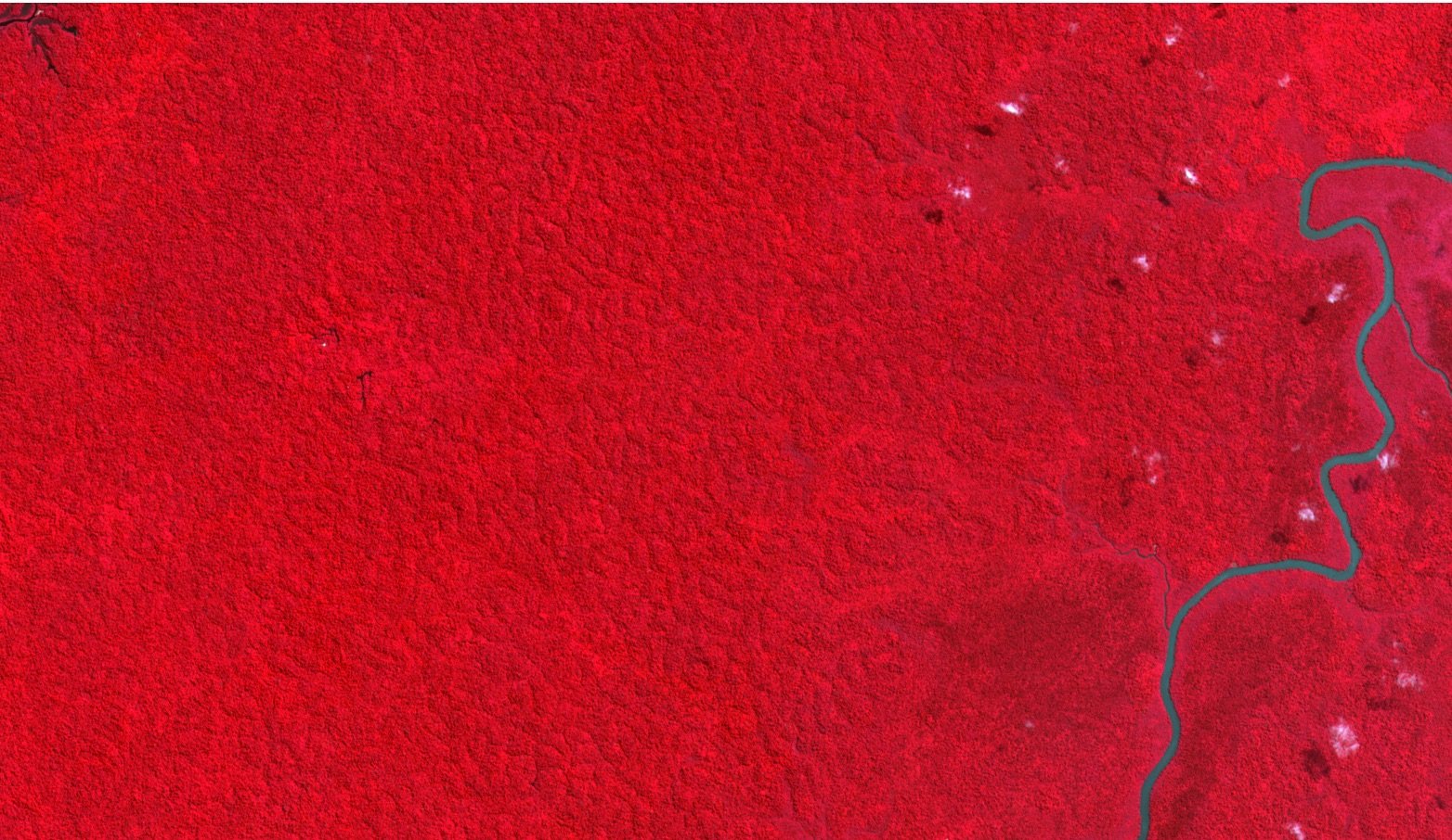 Figure 1: Sentinel-2, false colour, intact natural equatorial forest - Gabon