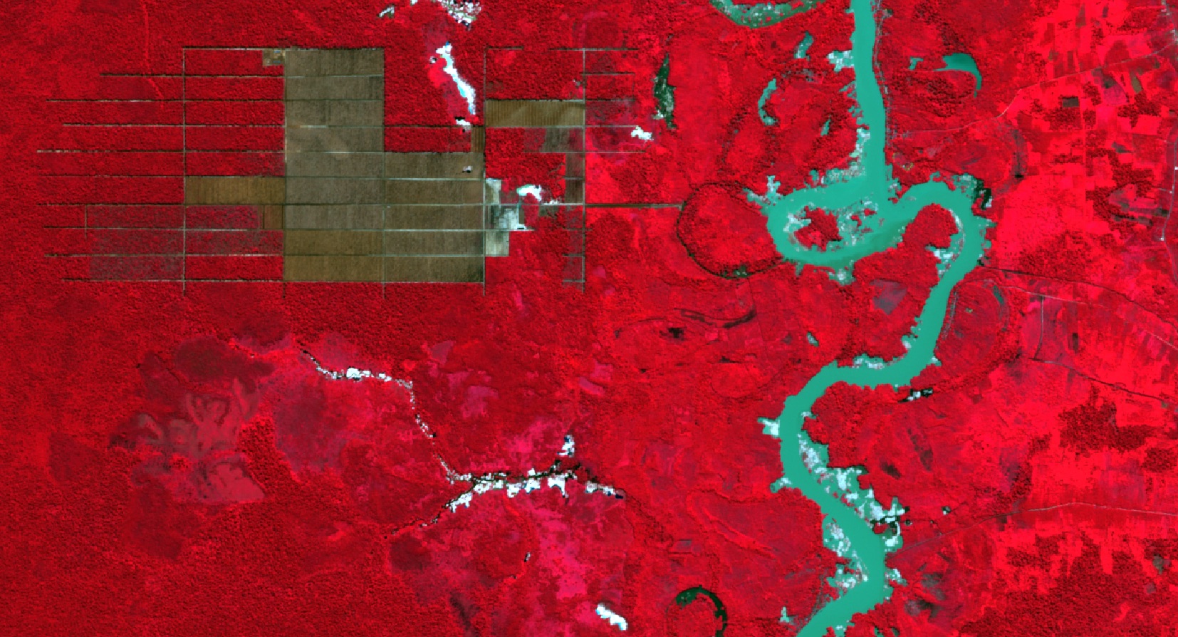 Figure 2: Sentinel-2, false colour, palm oil concession - Gabon